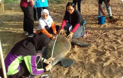 The Back 2 Nature – Turtle Camp Programme 2019